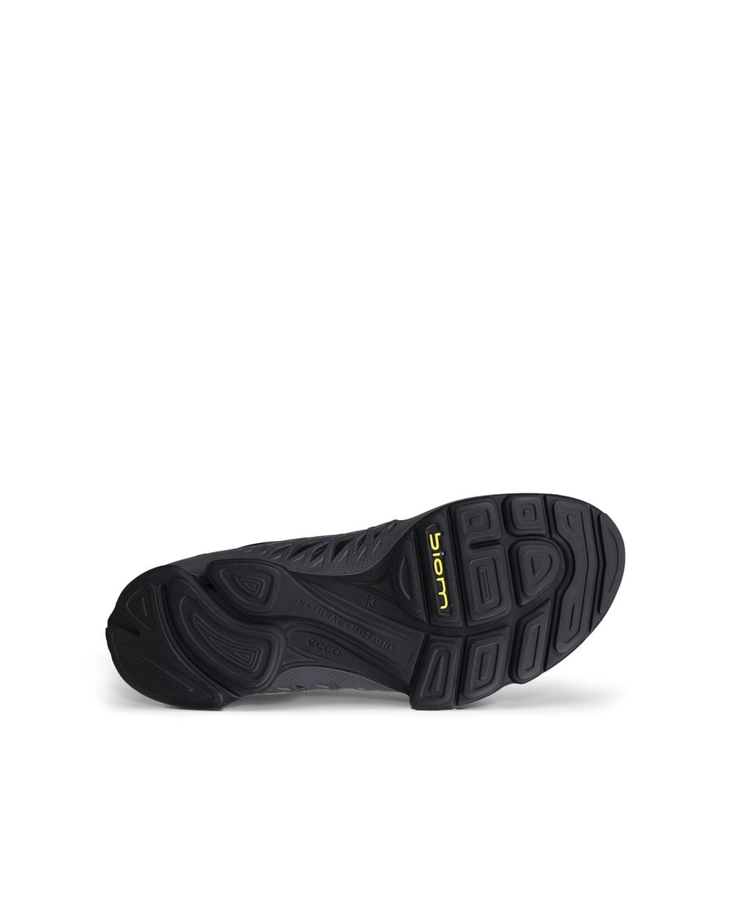 Ecco Blue Biom Aex for men