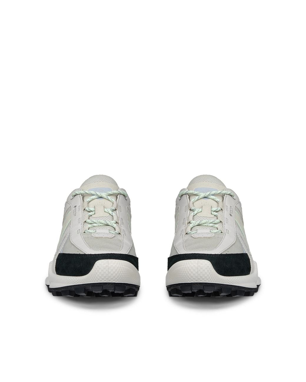 Ecco Gray Biom C-Trail