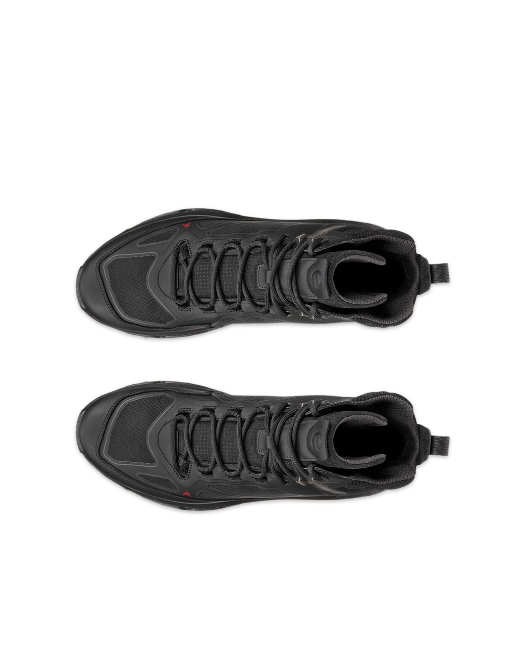 Ecco Black Receptor Xp for men