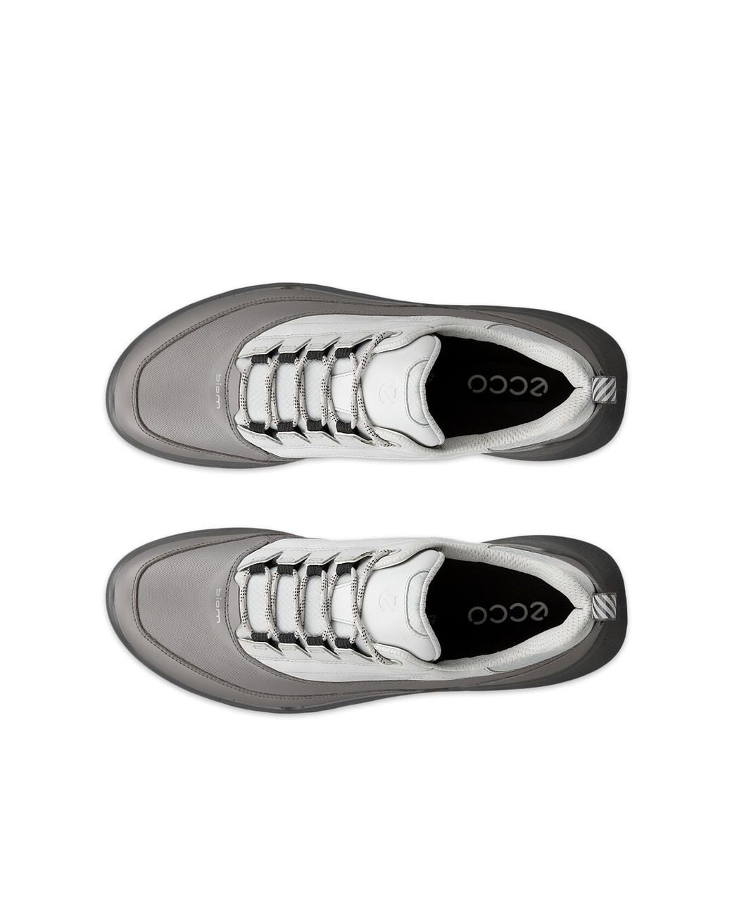 Ecco Gray Biom 720 for men