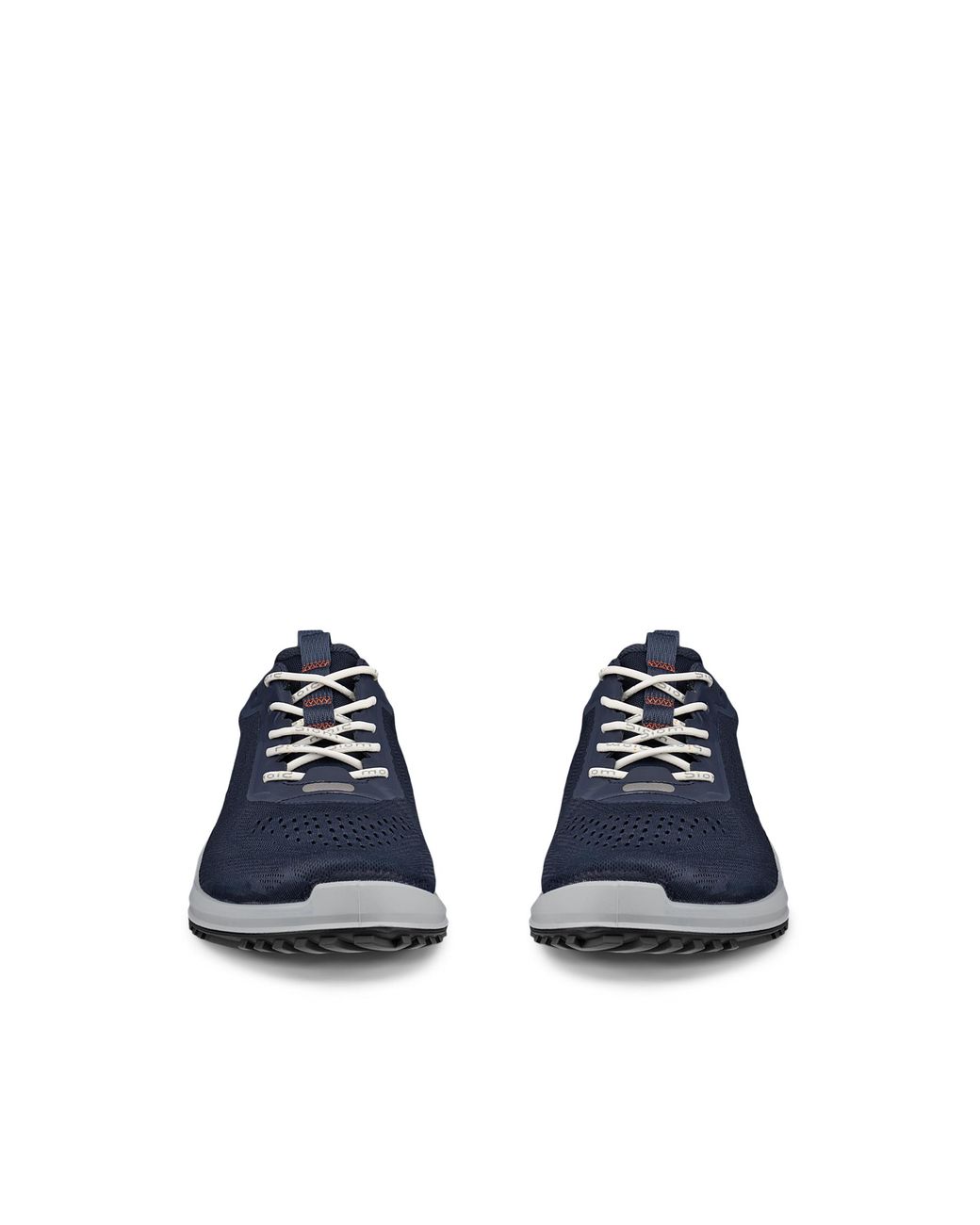 Ecco Blue Biom 2.0 for men