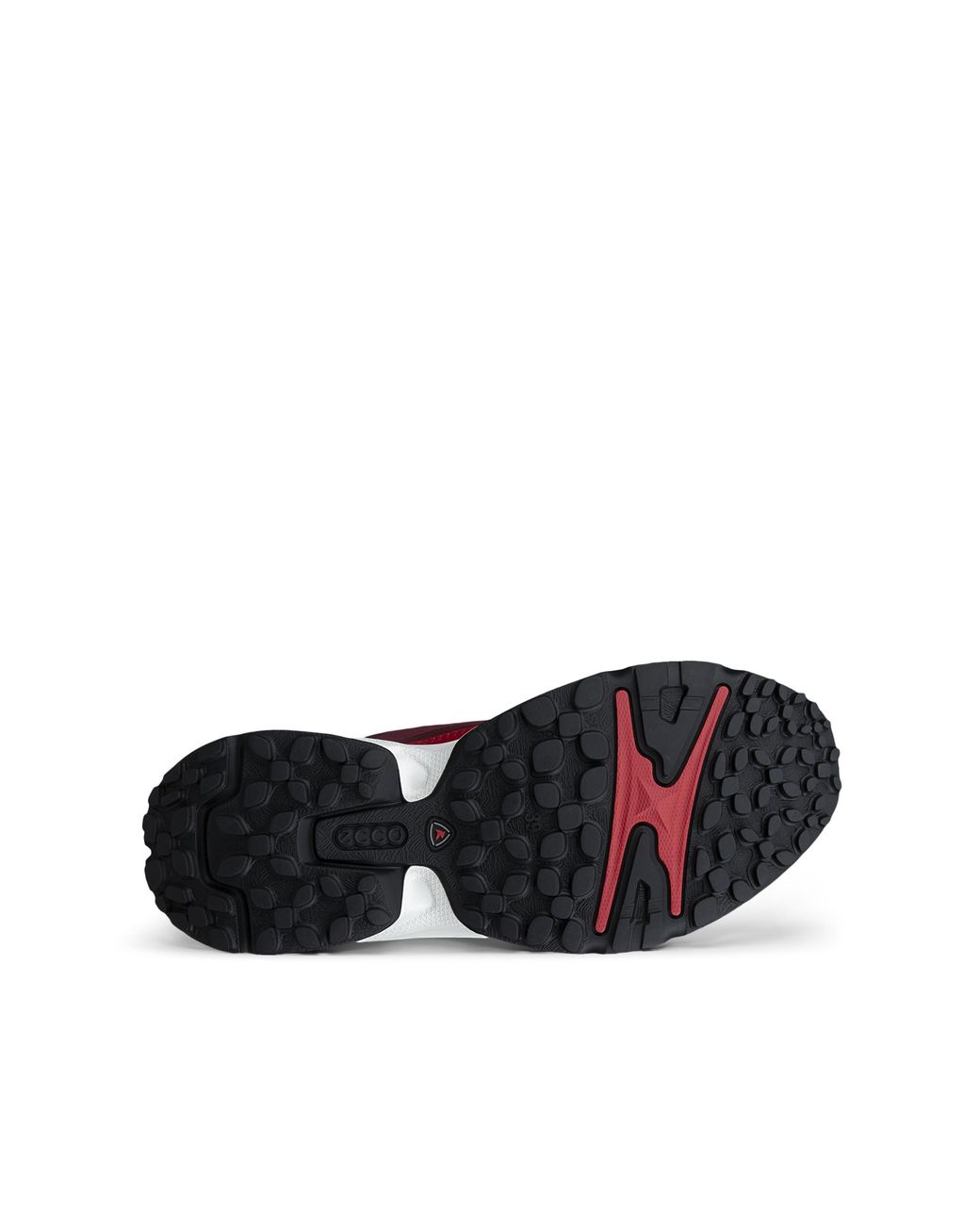 Ecco Red Receptor Xp