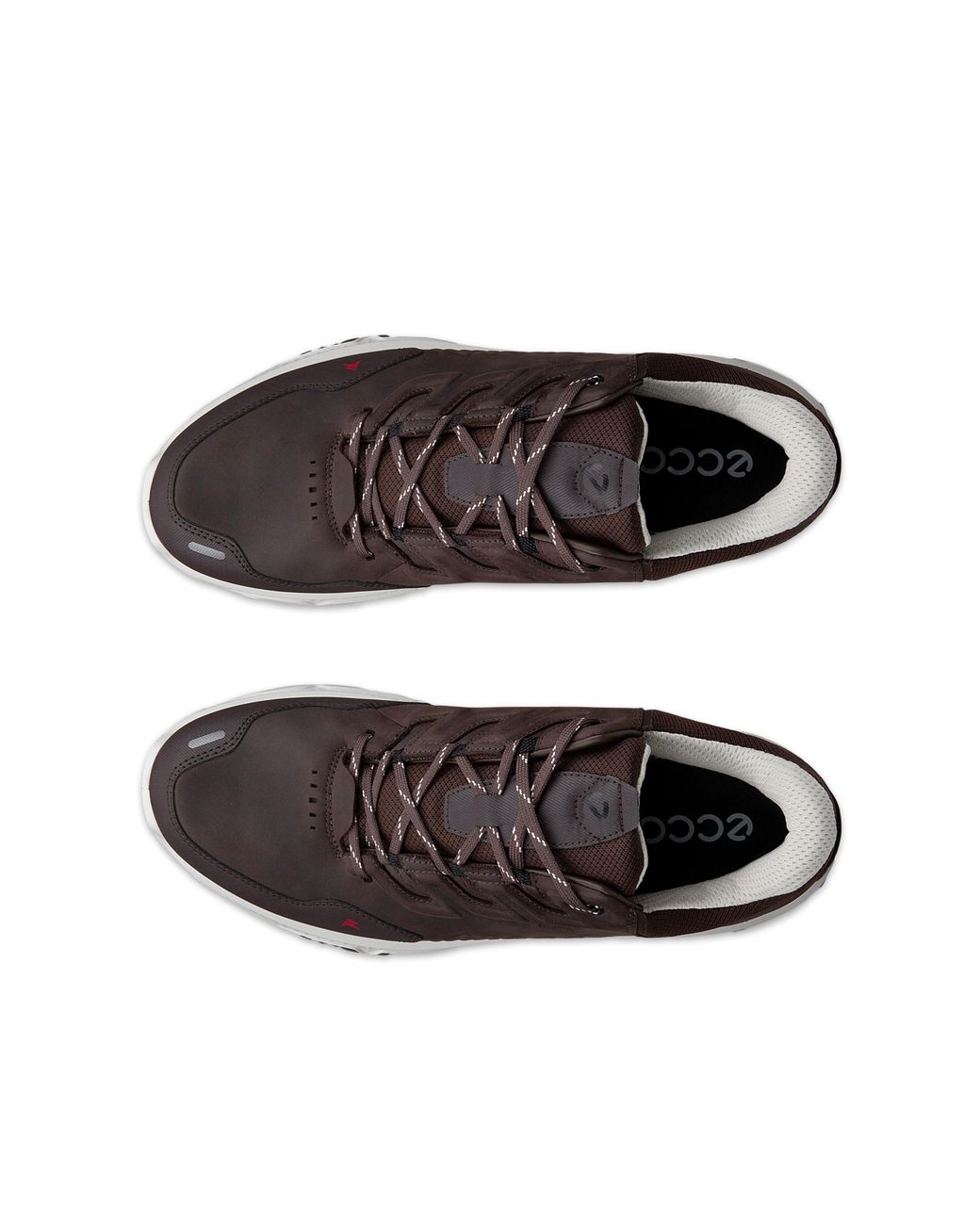 Ecco Brown Receptor Xp for men