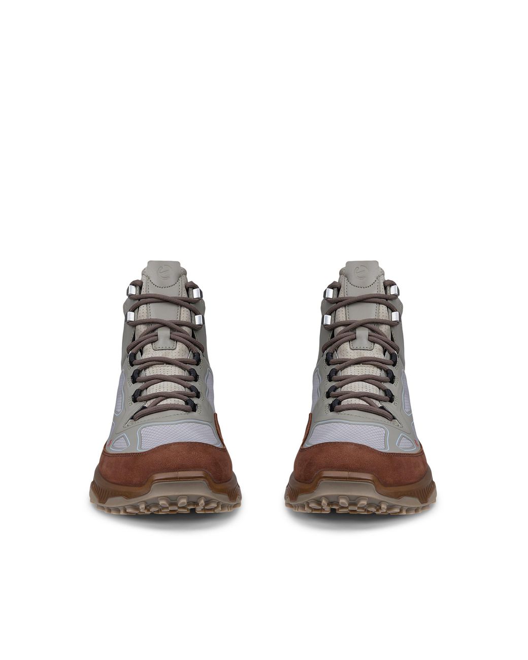 Ecco Brown Receptor Xp for men
