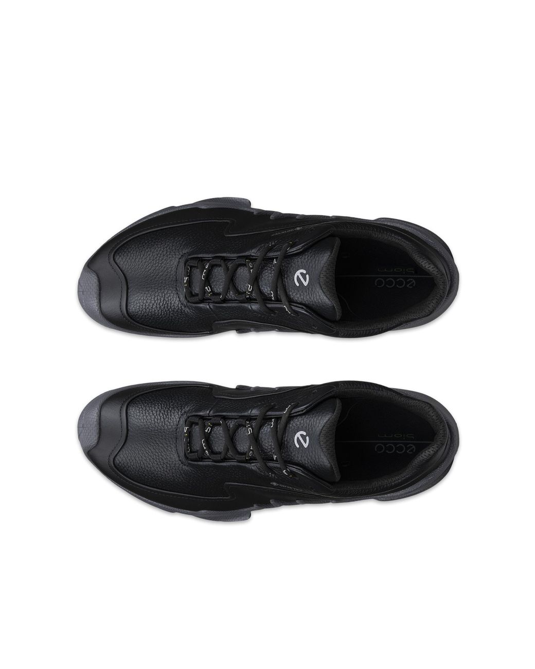 Ecco Blue Biom Aex for men