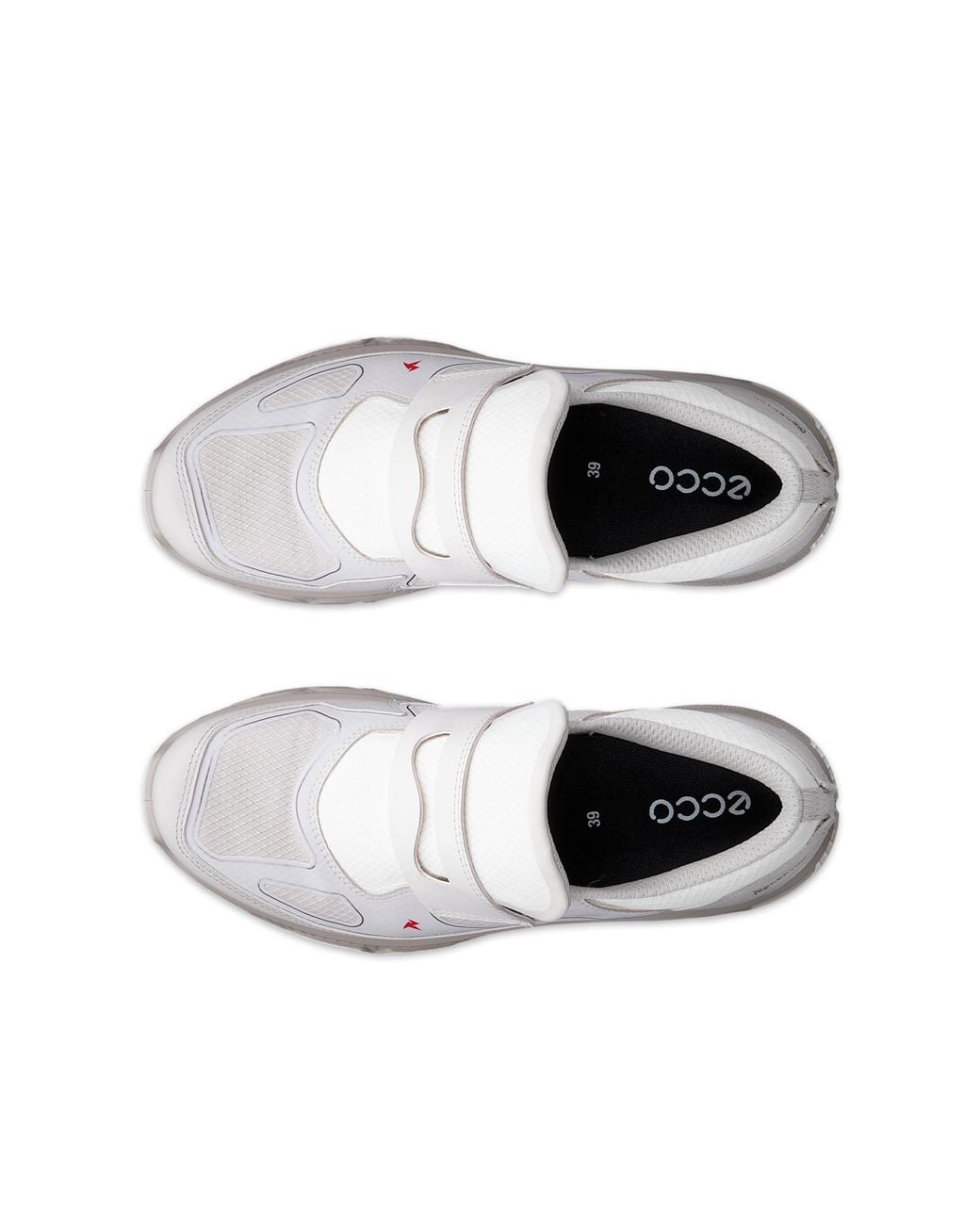 Ecco White Receptor Xp