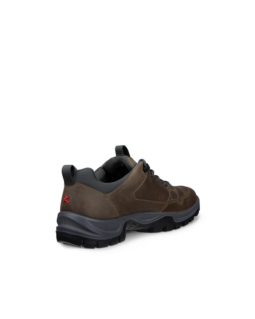 Ecco Brown Receptor Trekk for men