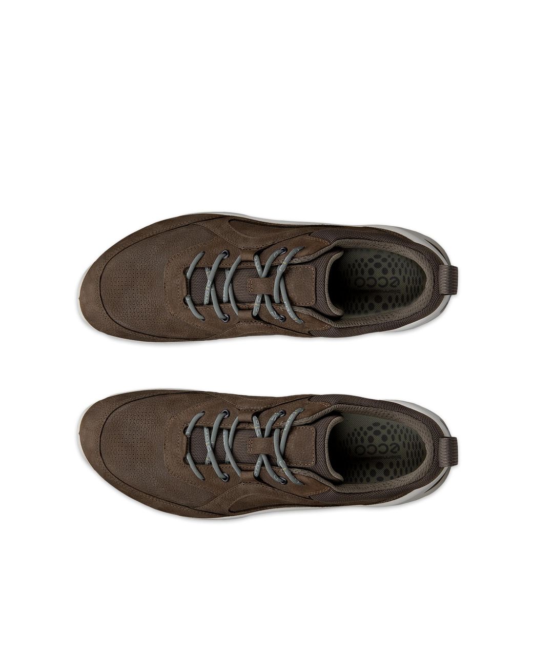 Ecco Brown Biom Energi for men