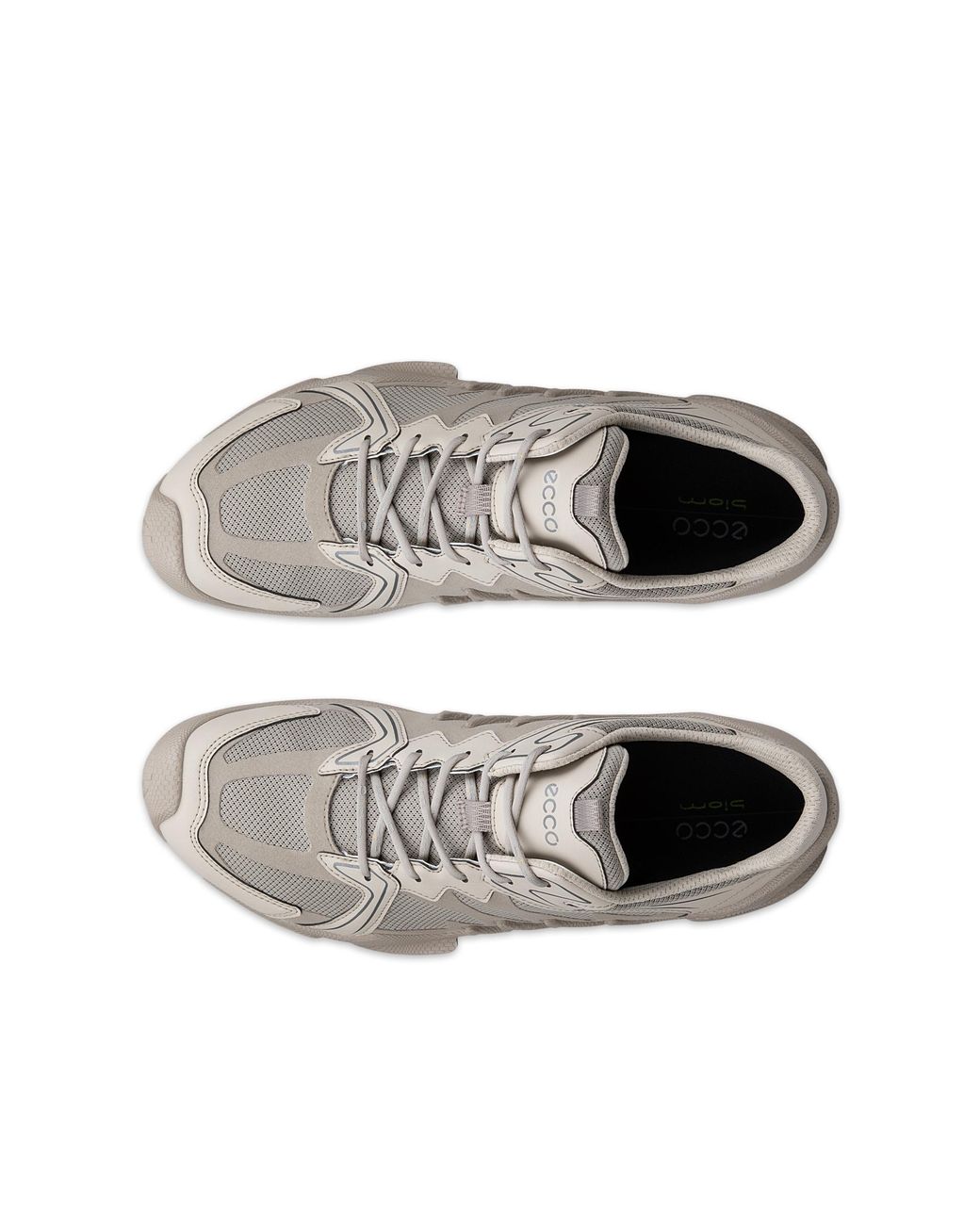 Ecco Gray Biom Aex for men