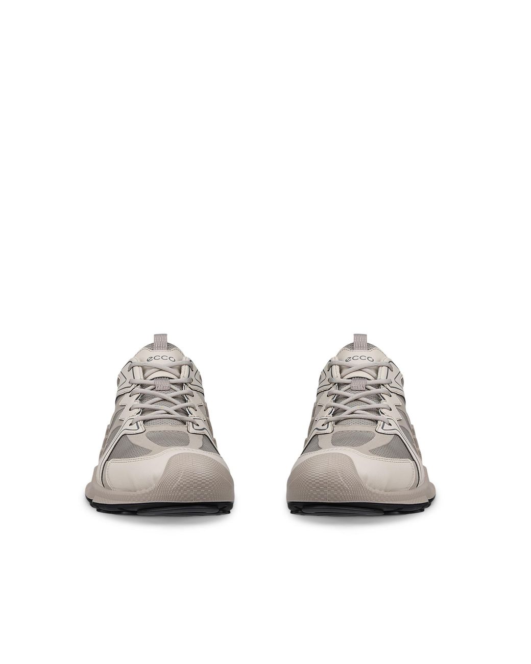 Ecco Gray Biom Aex for men