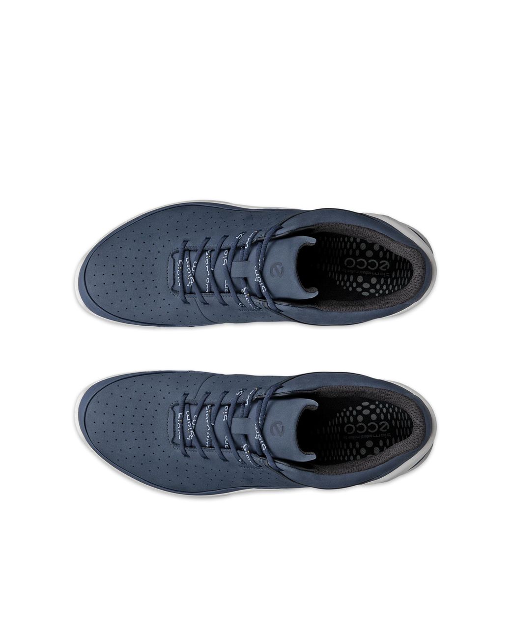 Ecco Blue Biom Energi M Lea Wp for men