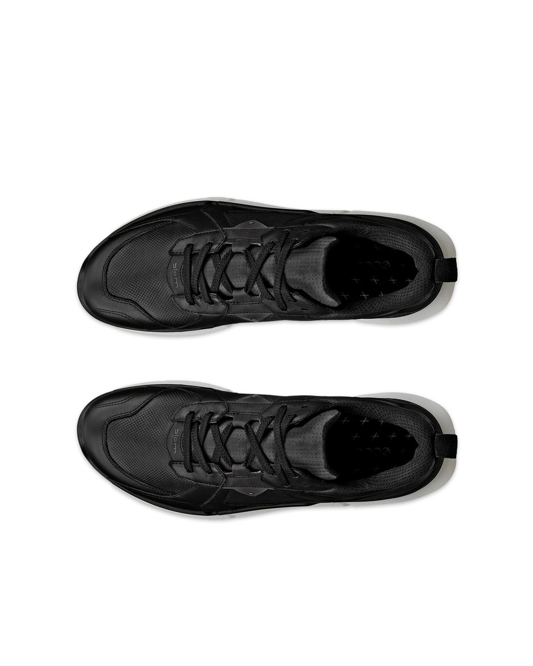 Ecco Black Biom 2.2 for men