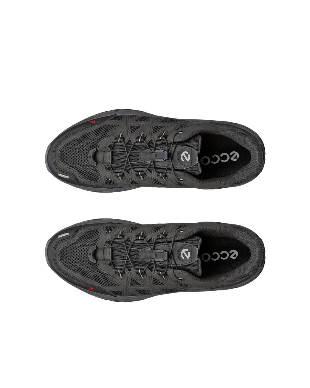 Ecco Black Receptor Xp for men