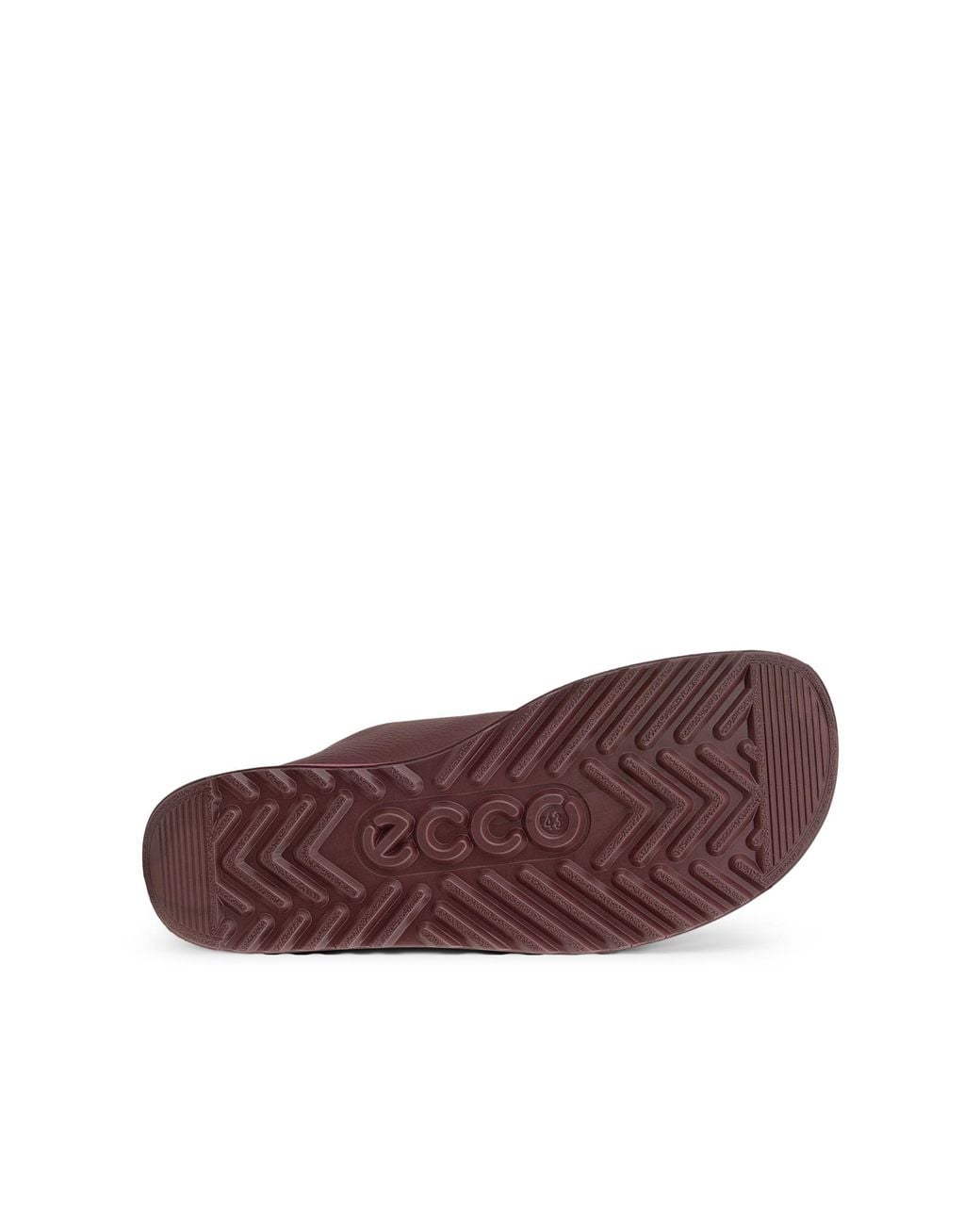 Ecco Purple Joke