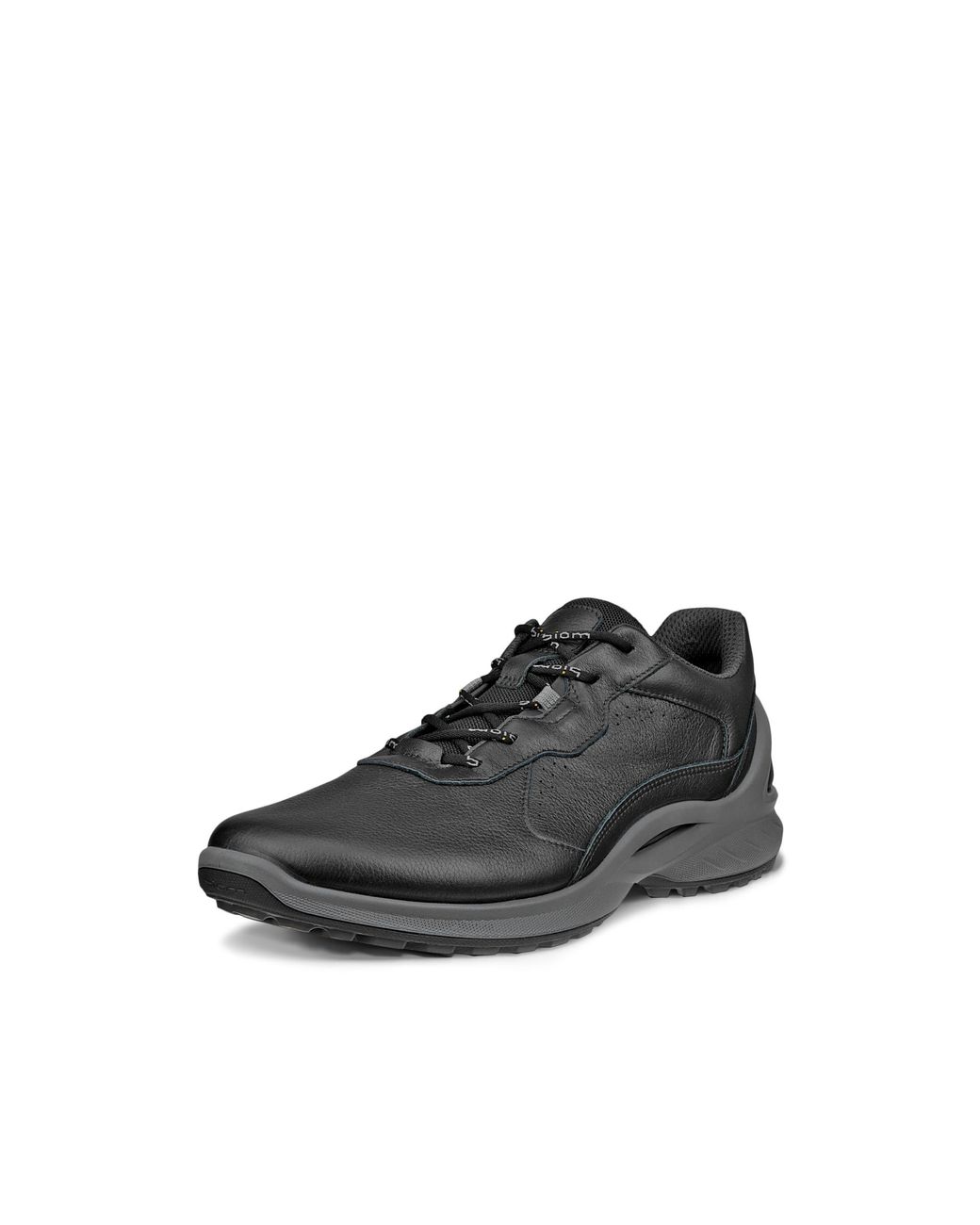 Ecco Black Biom Energi for men
