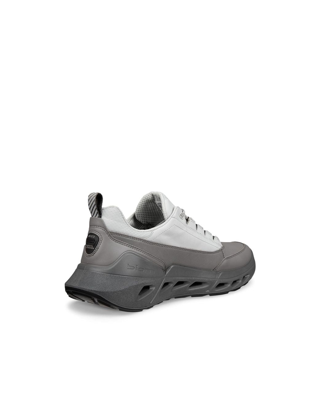 Ecco Gray Biom 720 for men