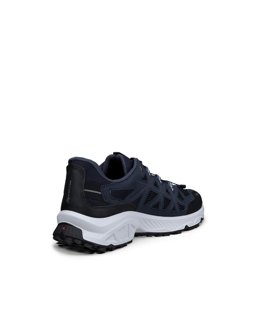 Ecco Blue Receptor Xp for men