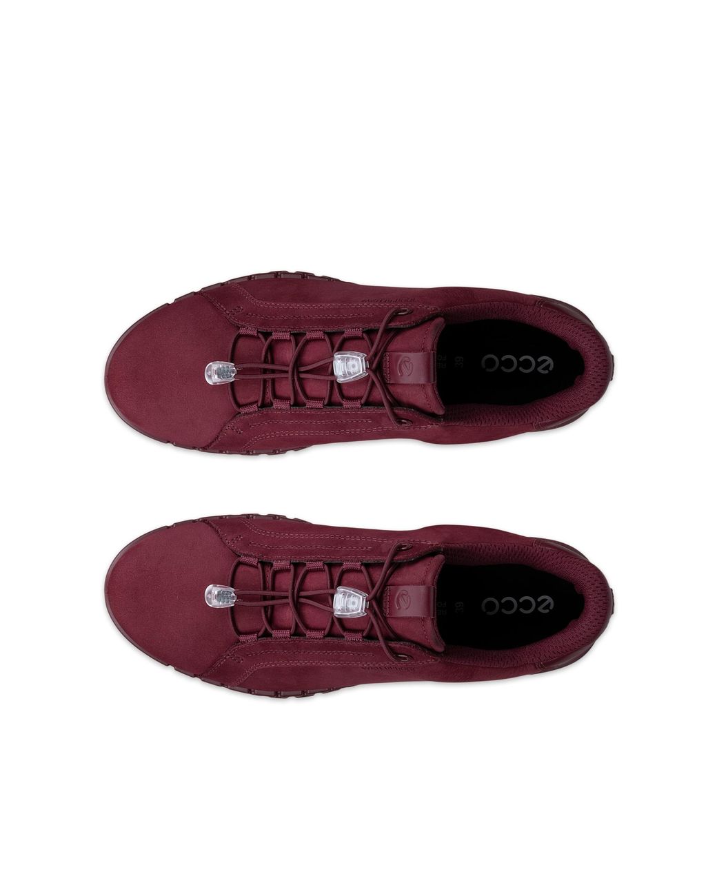 Ecco Purple Gruuv Lite