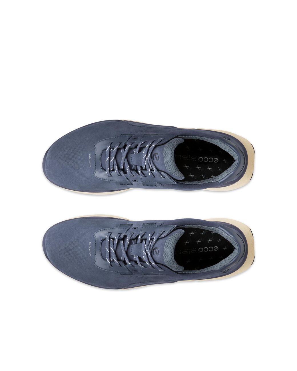 Ecco Blue Biom 2.2 for men