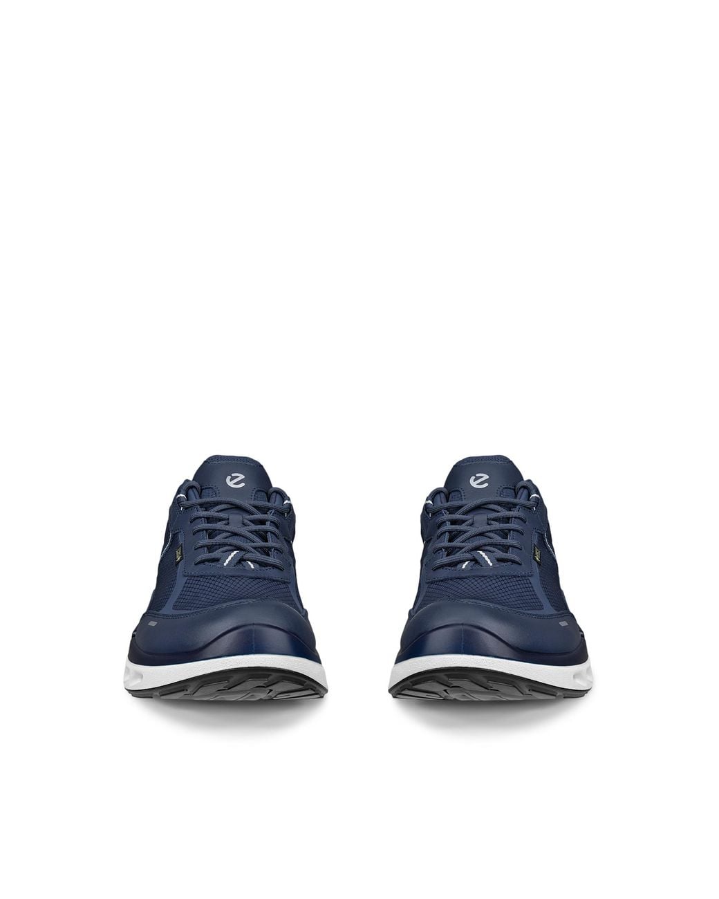 Ecco Blue Biom 720 Gore-Tex for men