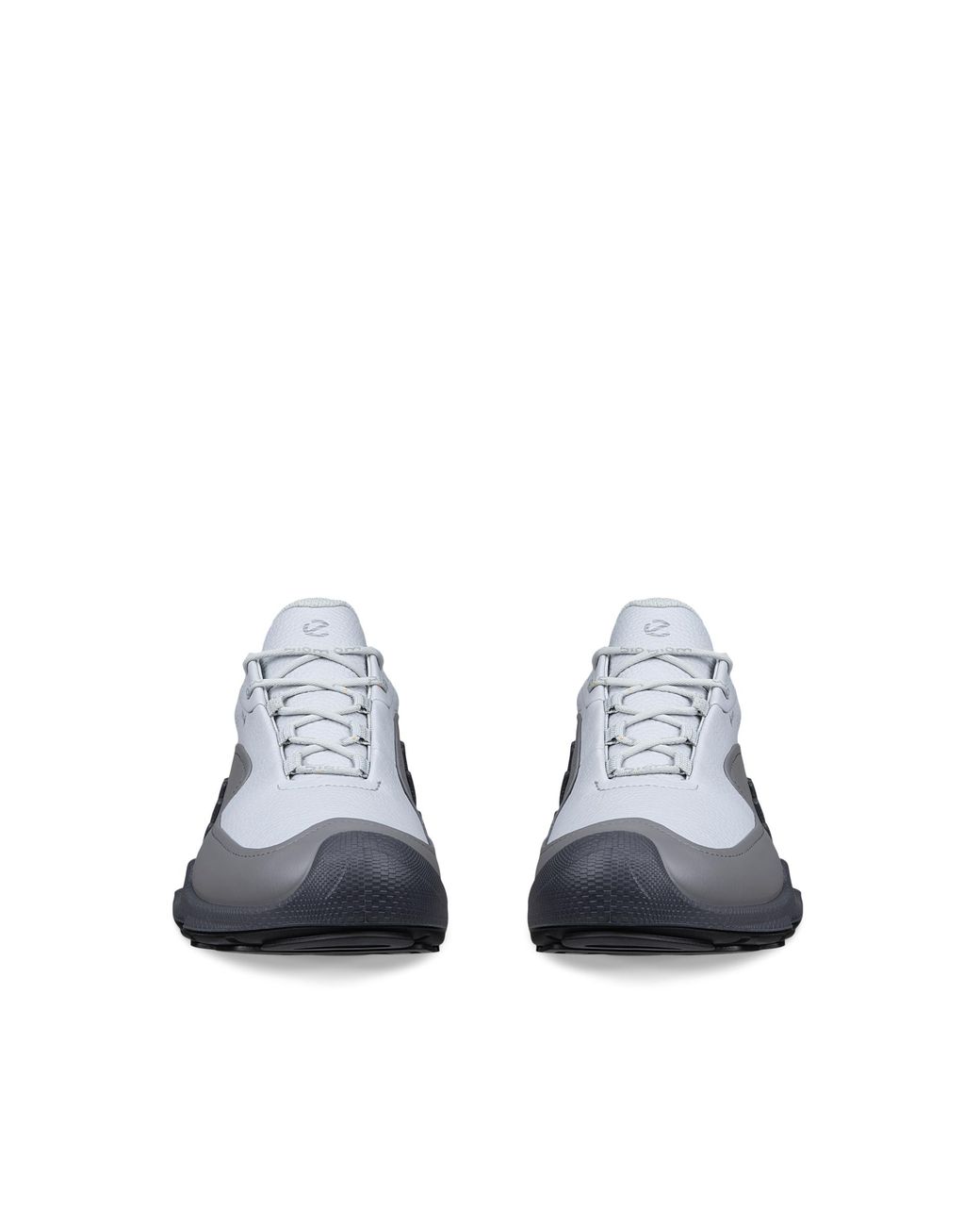 Ecco Gray Biom Aex for men