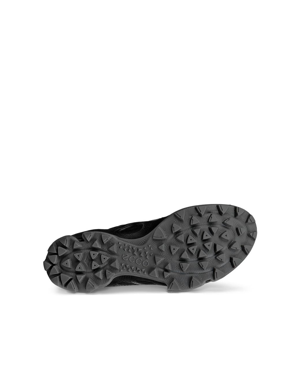 Ecco Black Biom C-Trail