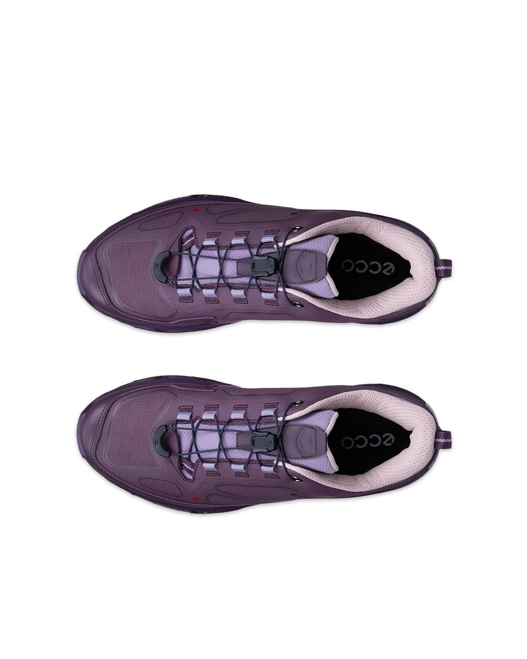 Ecco Purple Receptor Xp