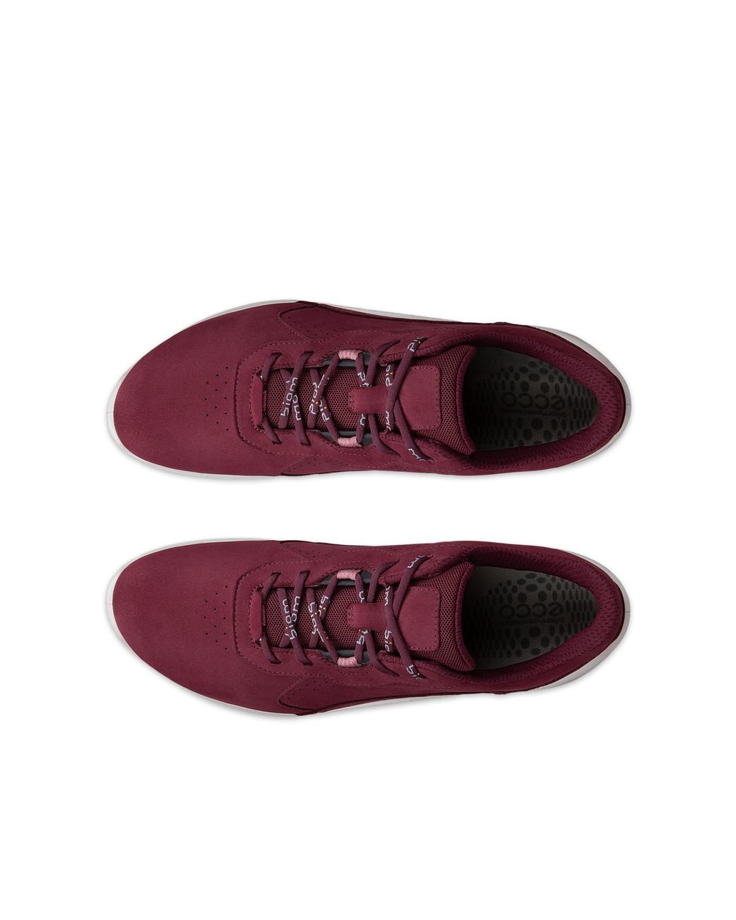 Ecco Purple Biom Energi