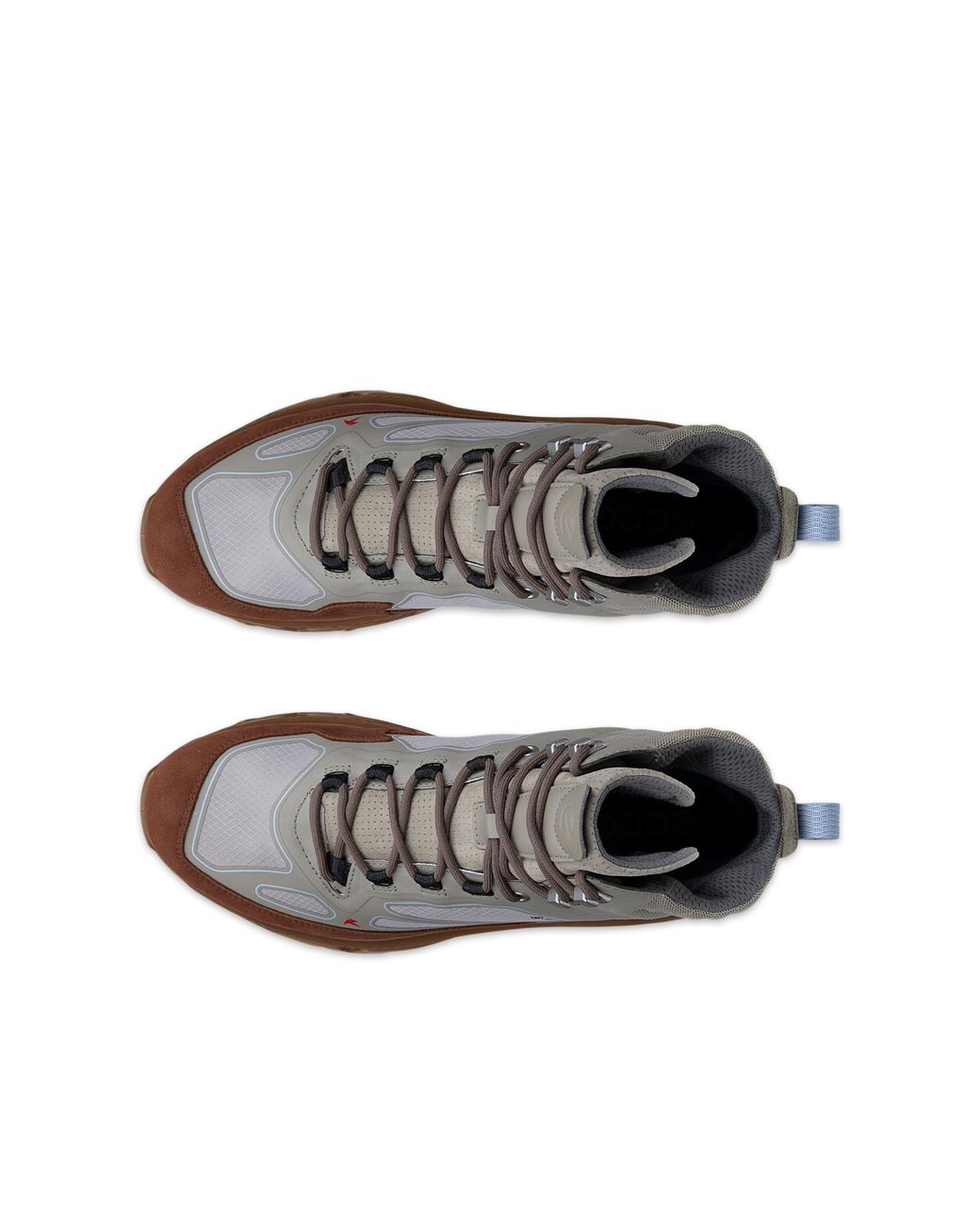 Ecco Brown Receptor Xp for men