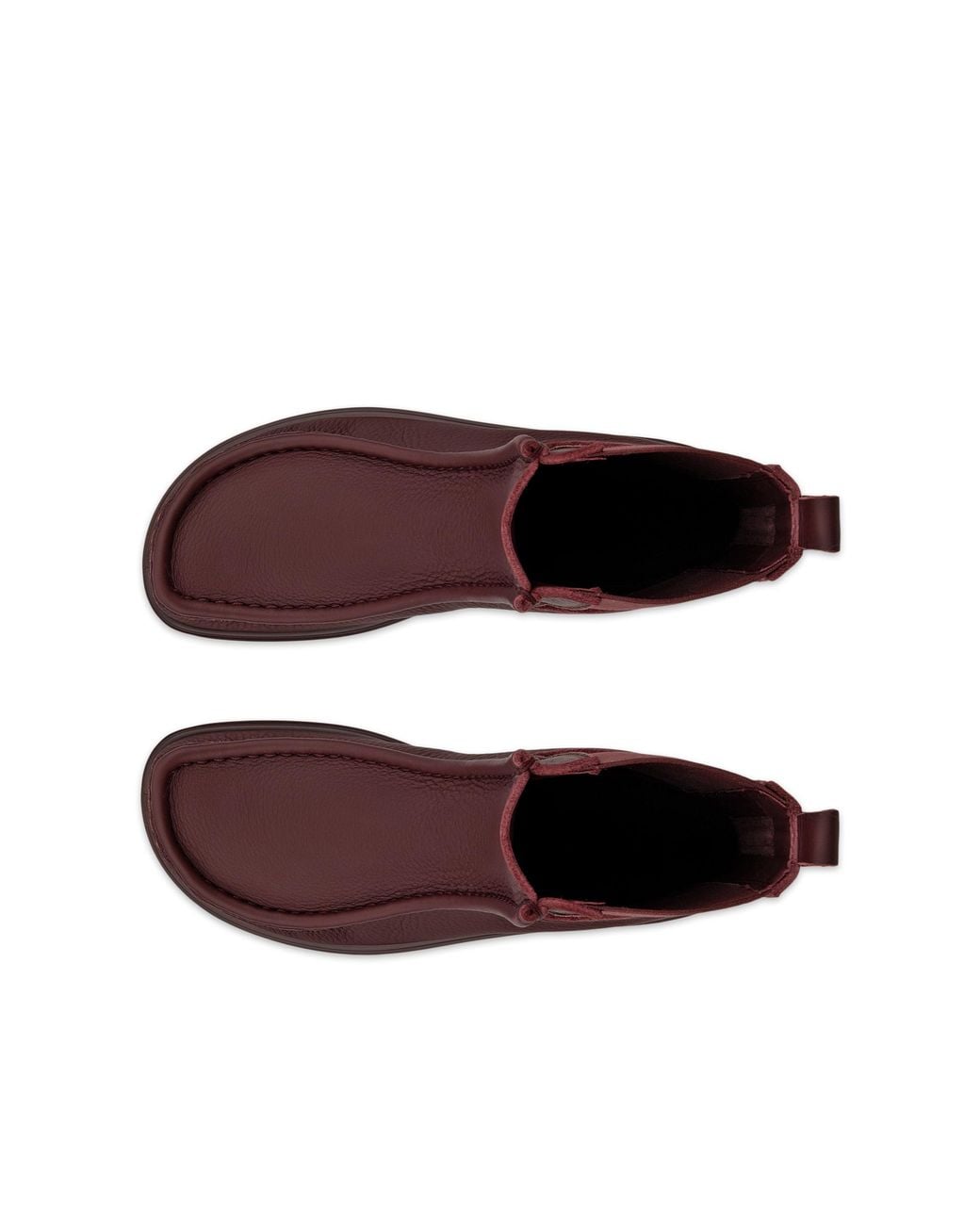 Ecco Purple Joke