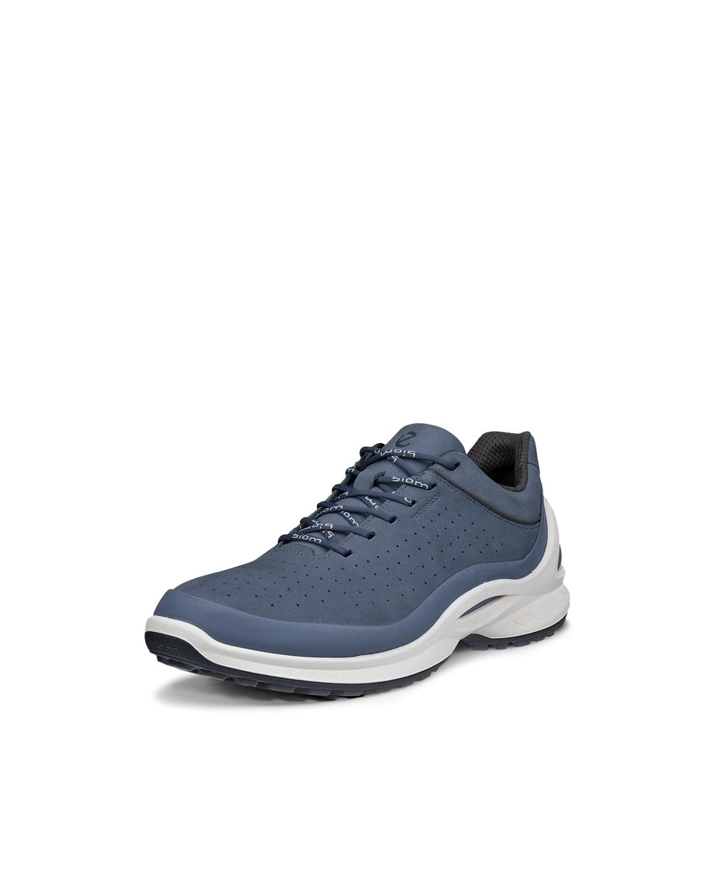 Ecco Blue Biom Energi M Lea Wp for men