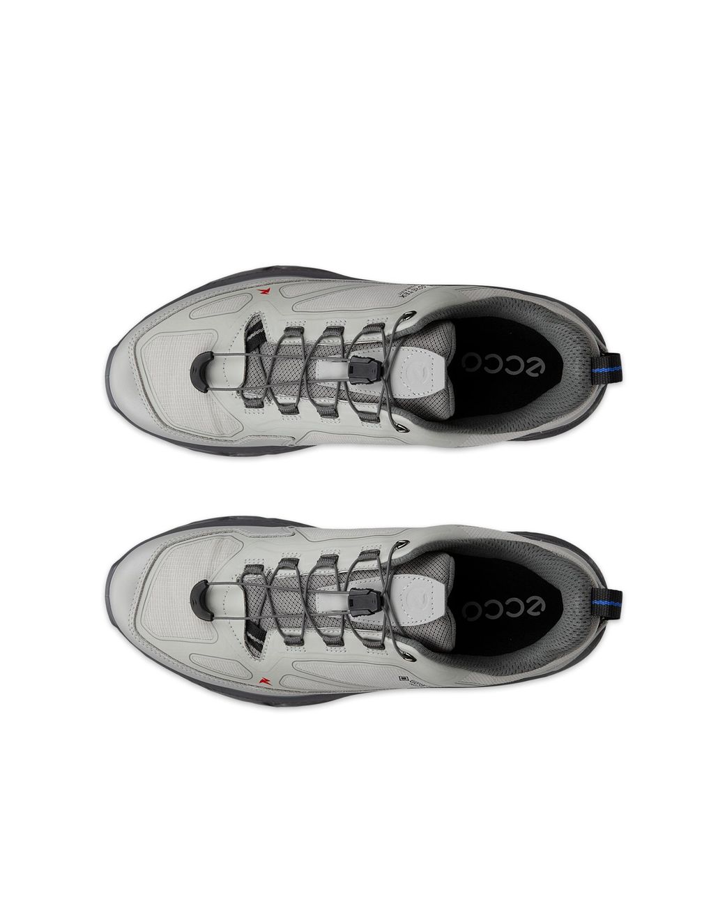 Ecco Gray Receptor Xp for men