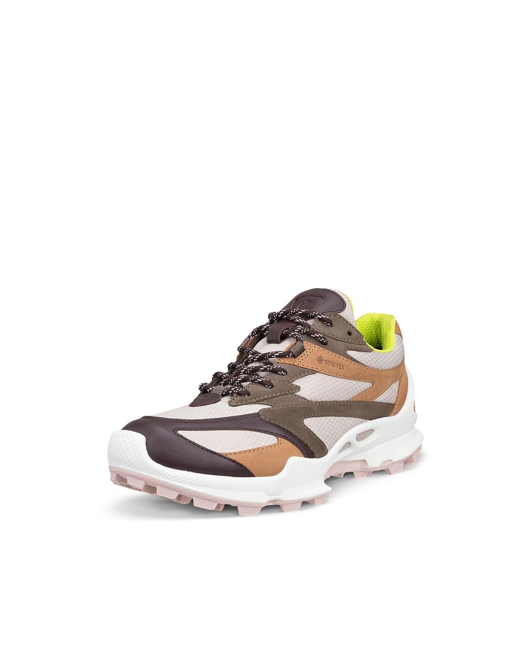 Ecco Gray Biom C-Trail