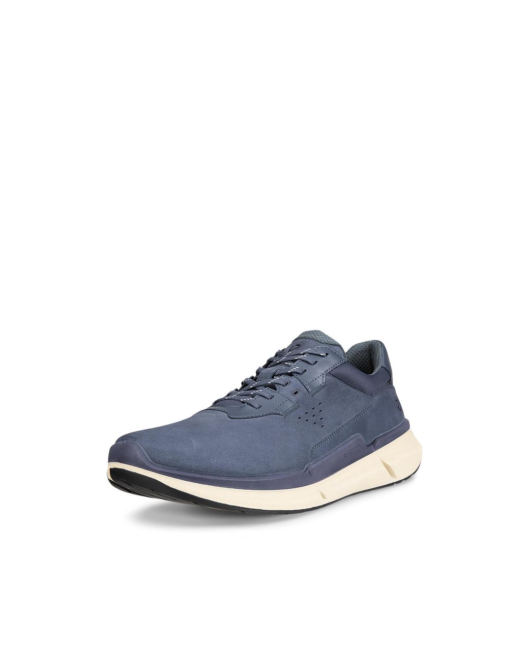 Ecco Blue Biom 2.2 for men