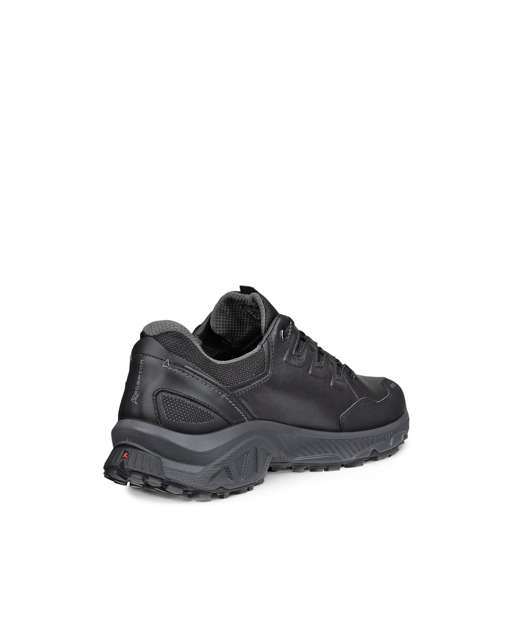 Ecco Black Receptor Xp for men