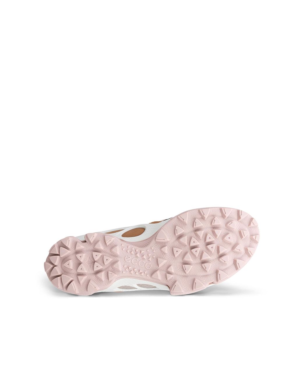 Ecco Gray Biom C-Trail