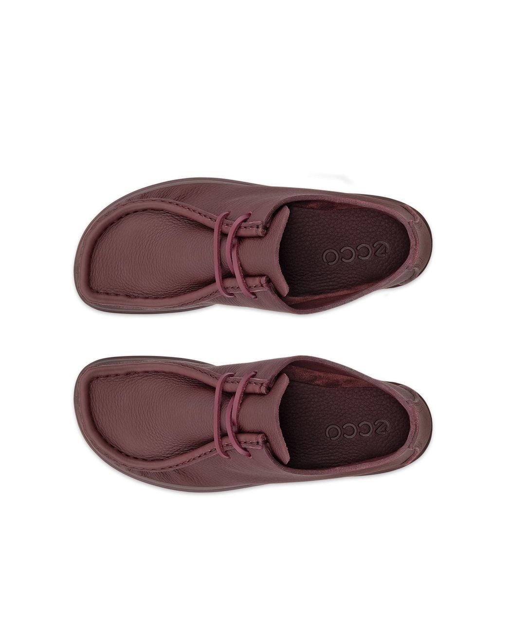 Ecco Purple Joke