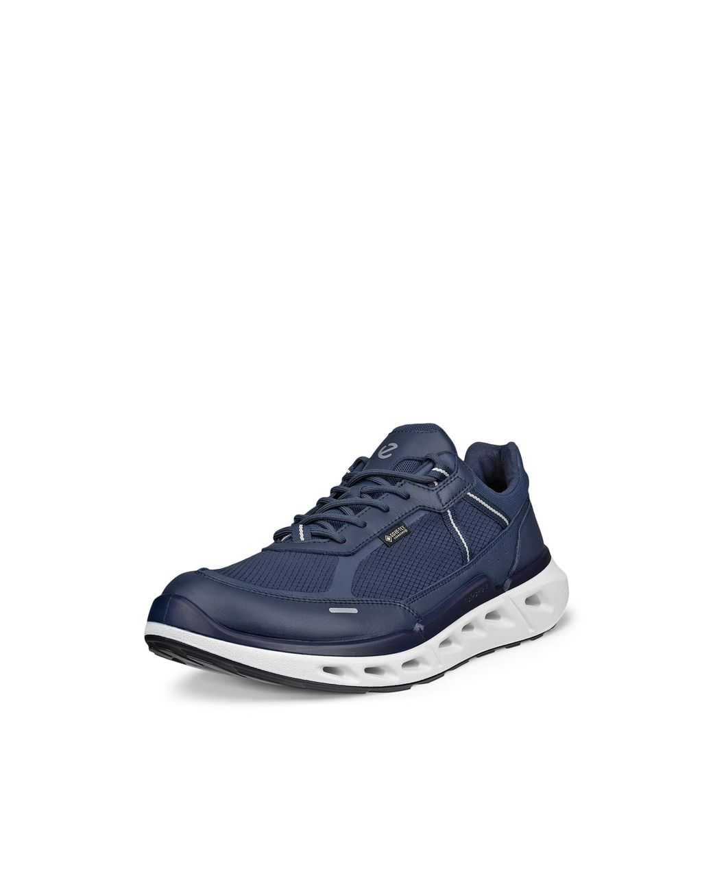 Ecco Blue Biom 720 Gore-Tex for men