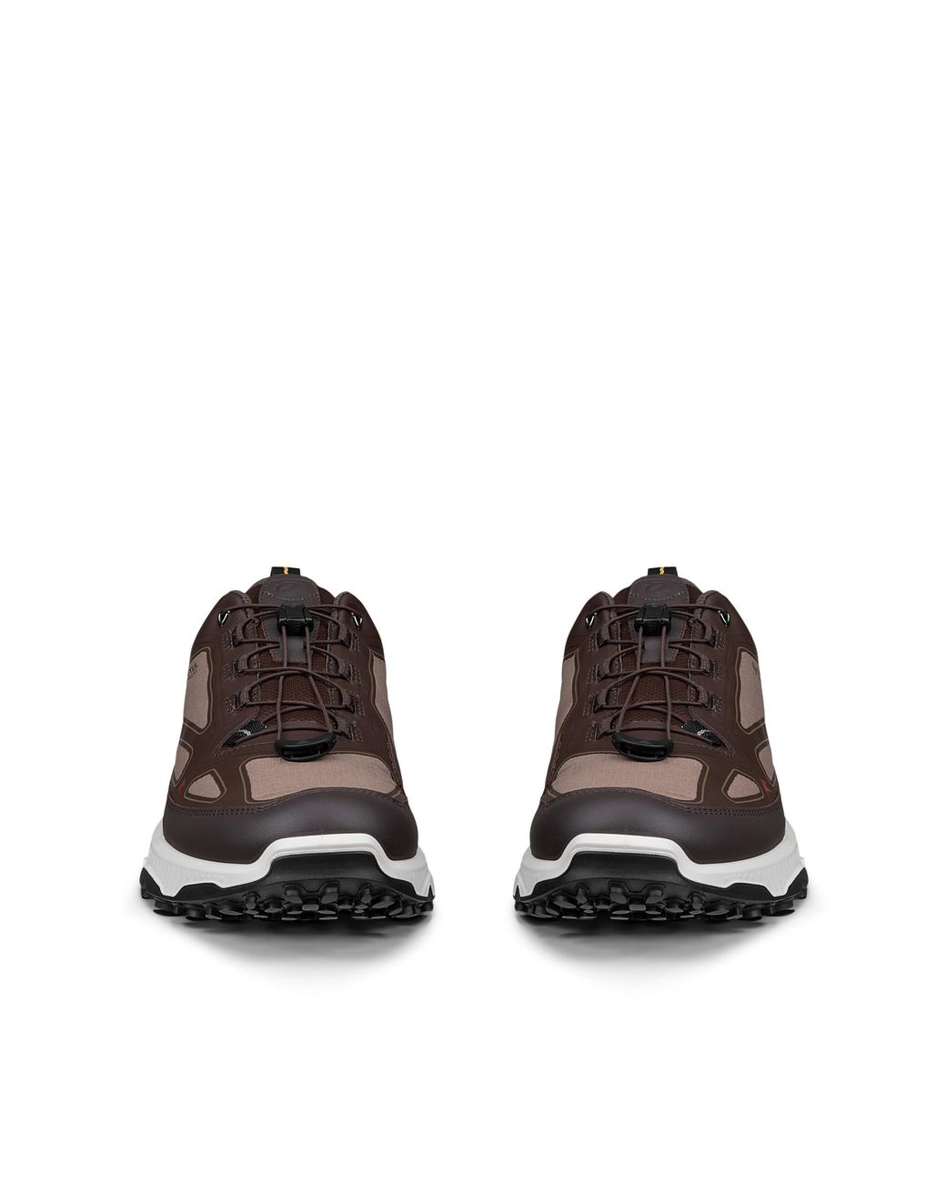 Ecco Brown Receptor Xp for men