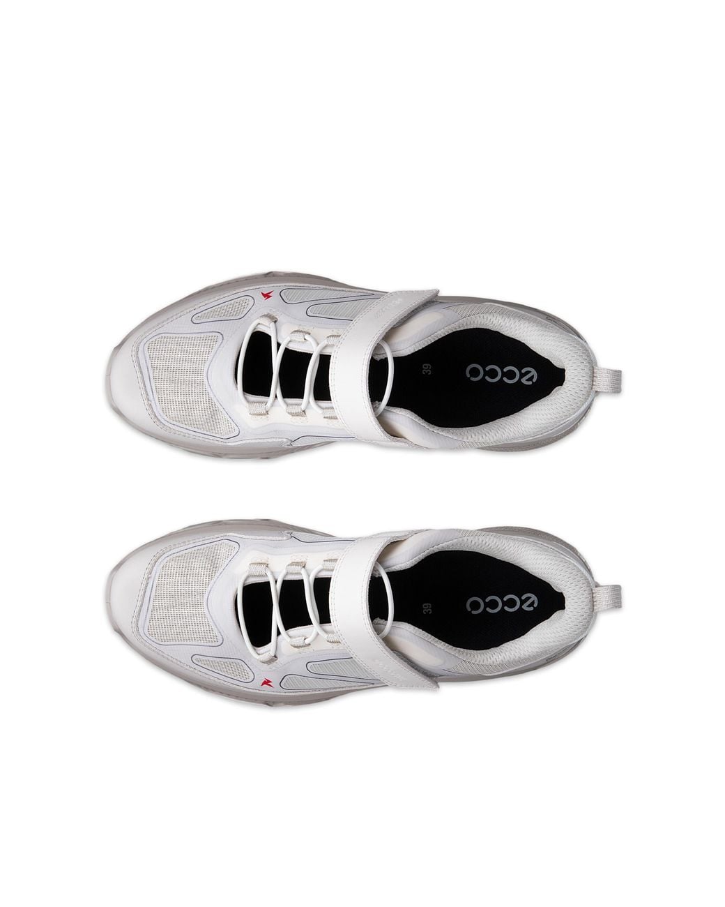 Ecco White Receptor Xp