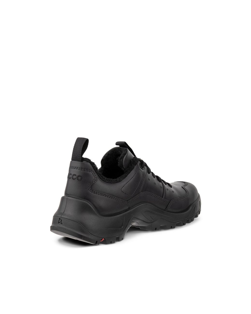 Ecco Black Offroad Cruiser (/) Shoes for men