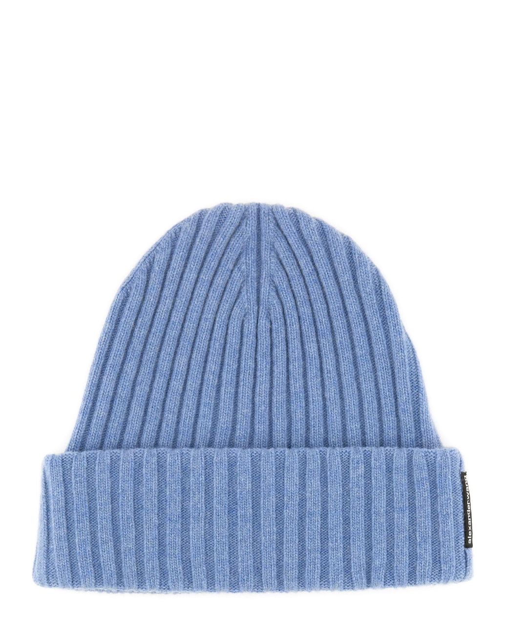 Cappello di Alexander Wang in Blue