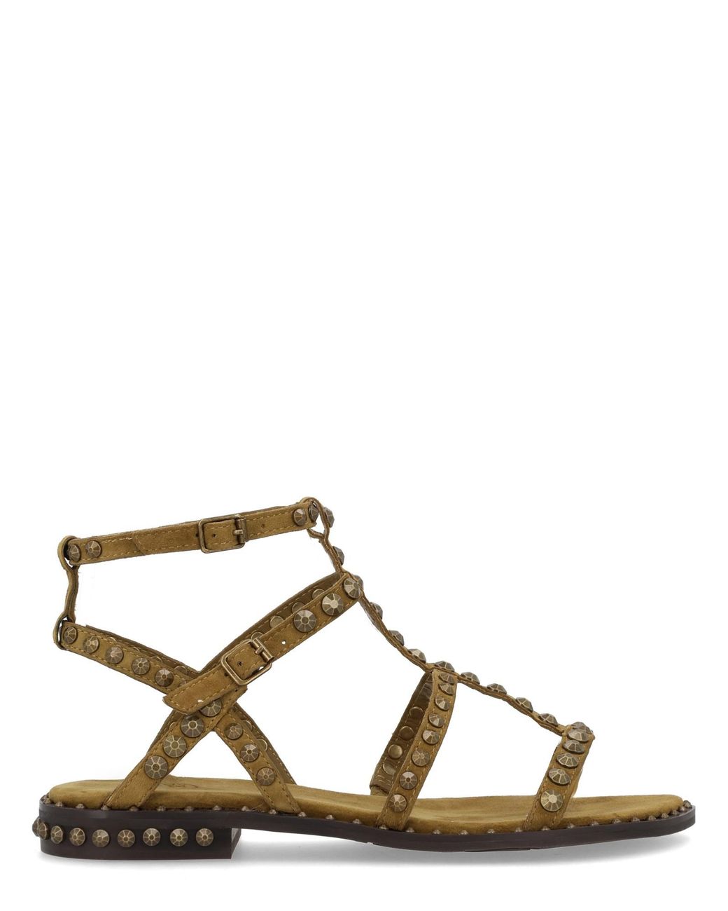 Ash Brown Studded Sandals