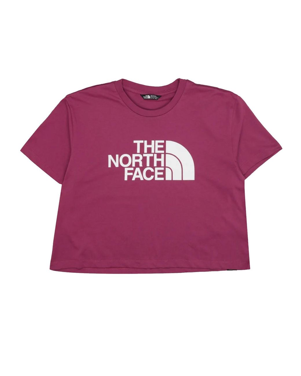 The North Face Pink Crop T-Shirt