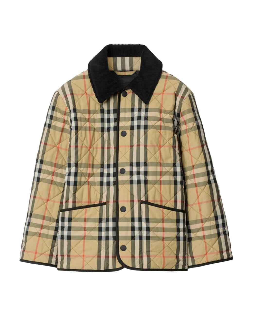 Burberry Metallic Jacket