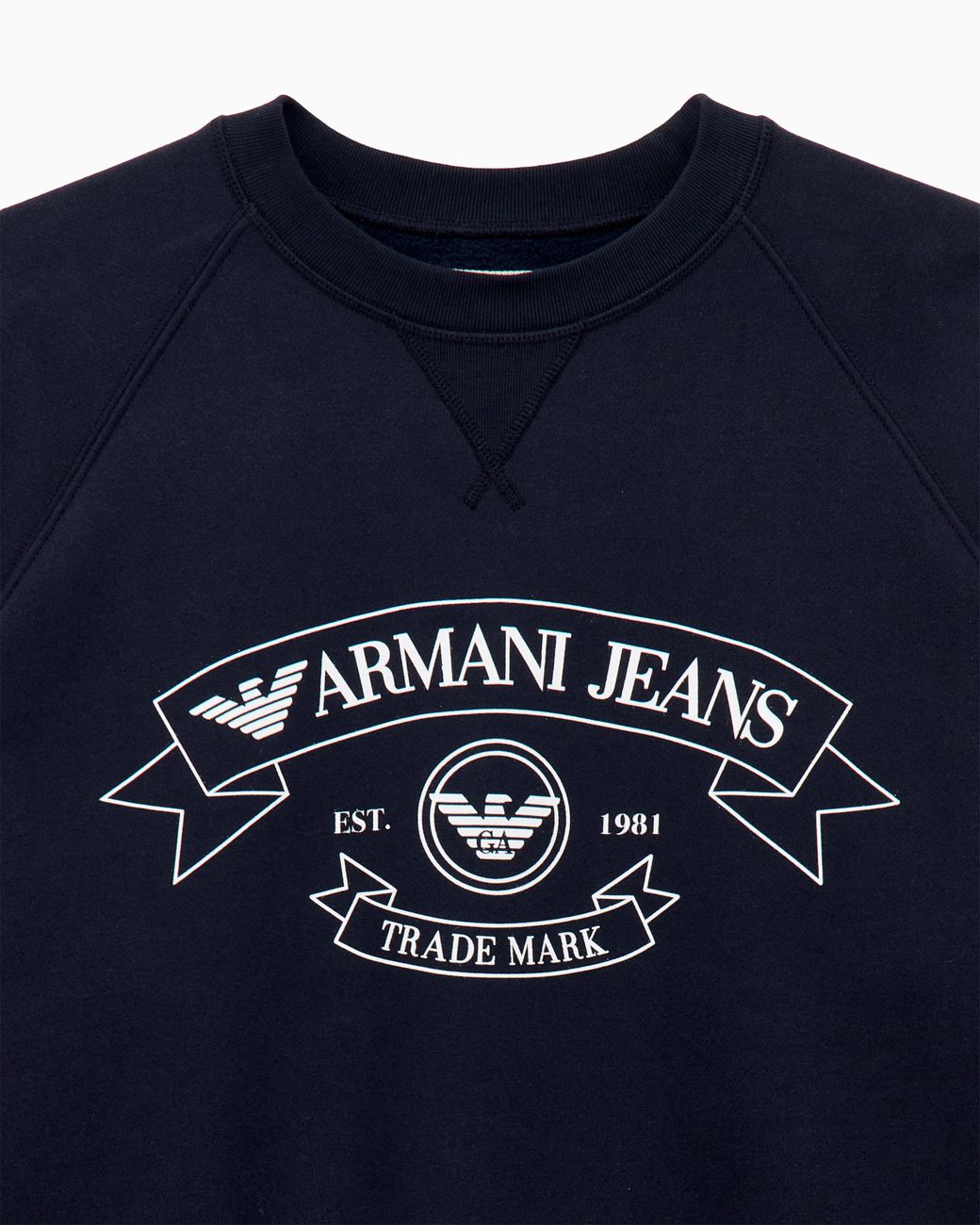 Emporio Armani Blue Armani Jeans Print Jersey Sweatshirt for men