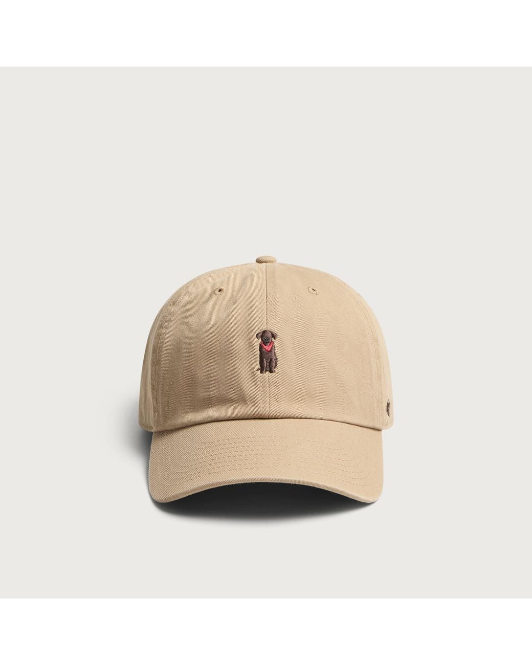 '47 Natural Dogs Clean Up Cap