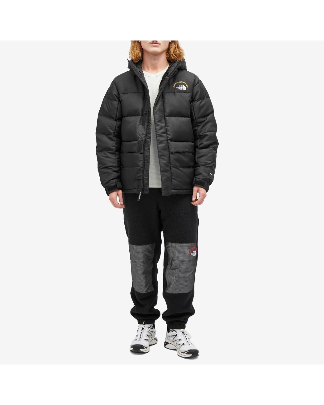 The North Face Himalayan 30Th Anniversary Parka Jacket in
