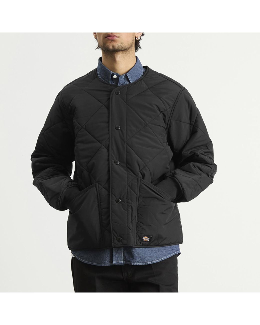 Dickies Black Samburg Liner Jacket for men
