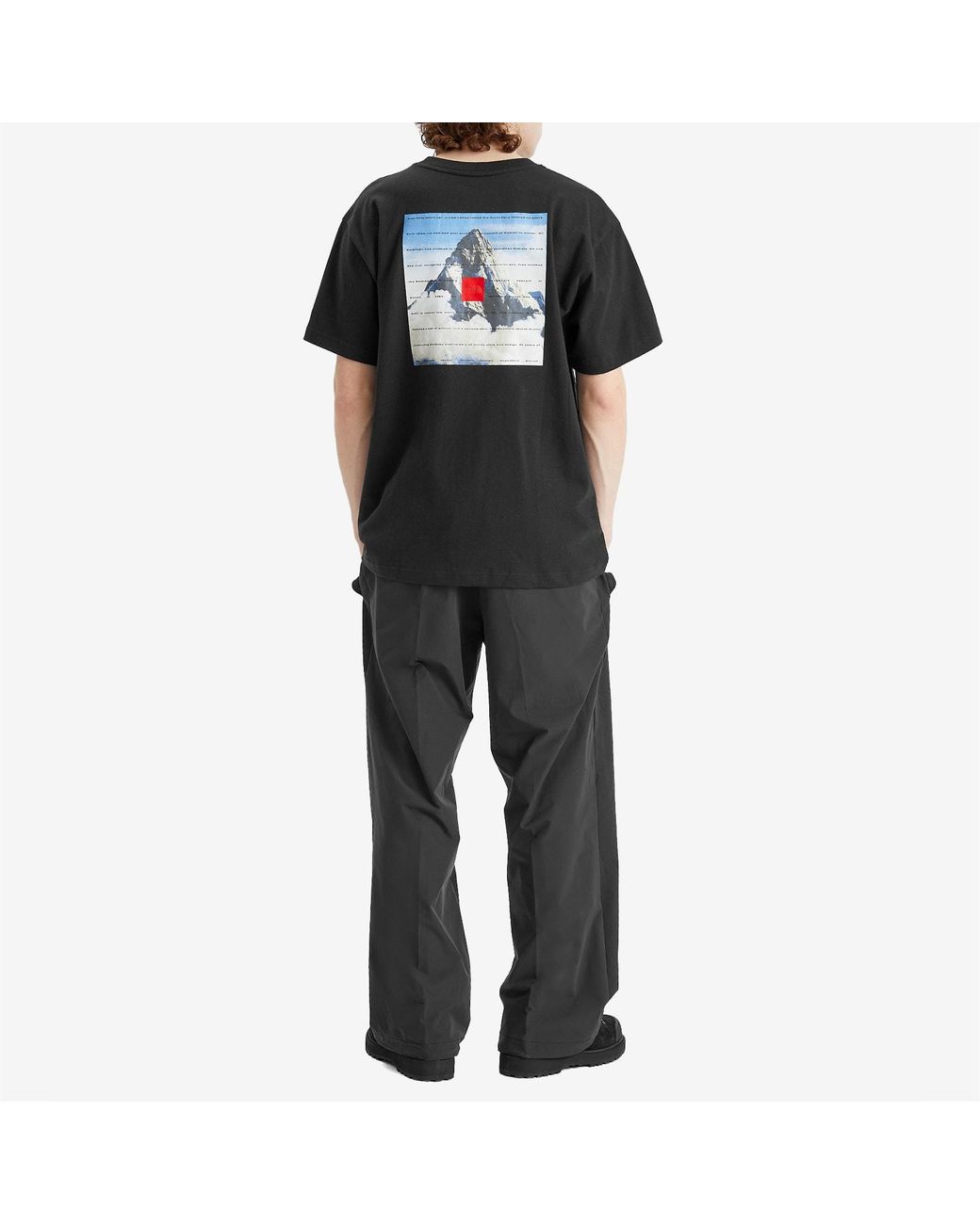 The North Face 40Th Anniversary Mountain T-Shirt in Black